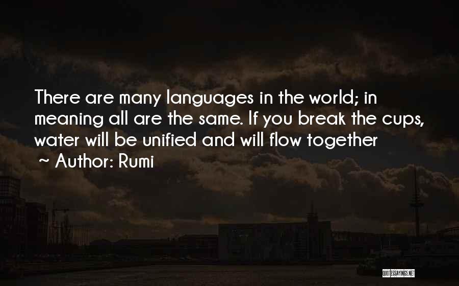 Rumi Quotes: There Are Many Languages In The World; In Meaning All Are The Same. If You Break The Cups, Water Will