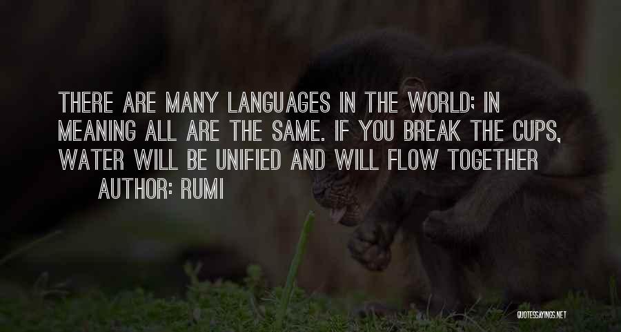 Rumi Quotes: There Are Many Languages In The World; In Meaning All Are The Same. If You Break The Cups, Water Will