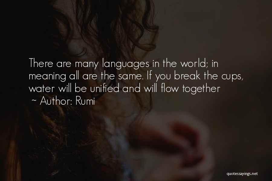 Rumi Quotes: There Are Many Languages In The World; In Meaning All Are The Same. If You Break The Cups, Water Will