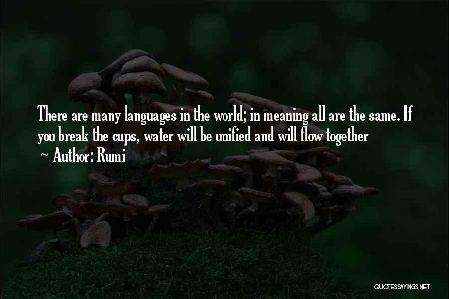 Rumi Quotes: There Are Many Languages In The World; In Meaning All Are The Same. If You Break The Cups, Water Will