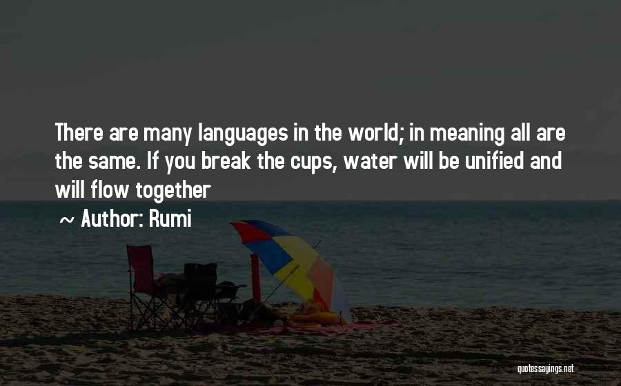 Rumi Quotes: There Are Many Languages In The World; In Meaning All Are The Same. If You Break The Cups, Water Will