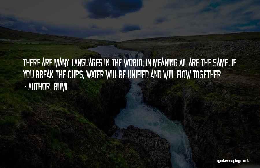 Rumi Quotes: There Are Many Languages In The World; In Meaning All Are The Same. If You Break The Cups, Water Will