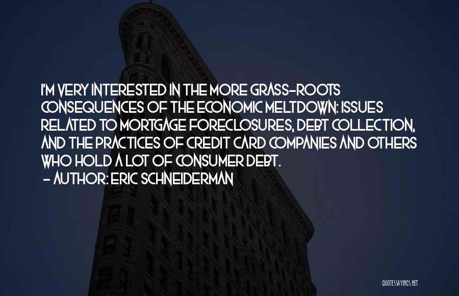 Eric Schneiderman Quotes: I'm Very Interested In The More Grass-roots Consequences Of The Economic Meltdown: Issues Related To Mortgage Foreclosures, Debt Collection, And