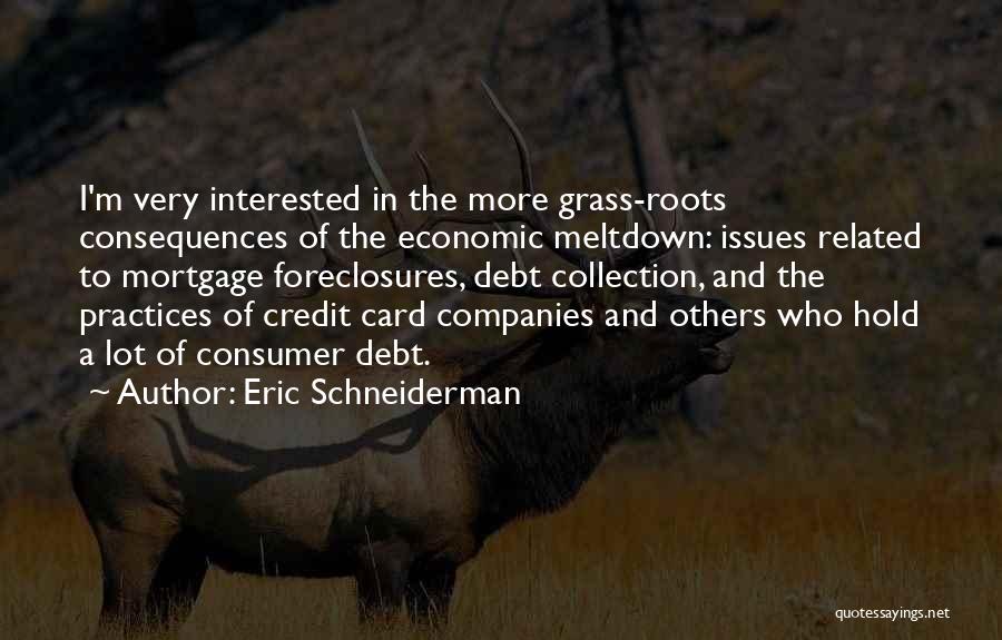 Eric Schneiderman Quotes: I'm Very Interested In The More Grass-roots Consequences Of The Economic Meltdown: Issues Related To Mortgage Foreclosures, Debt Collection, And