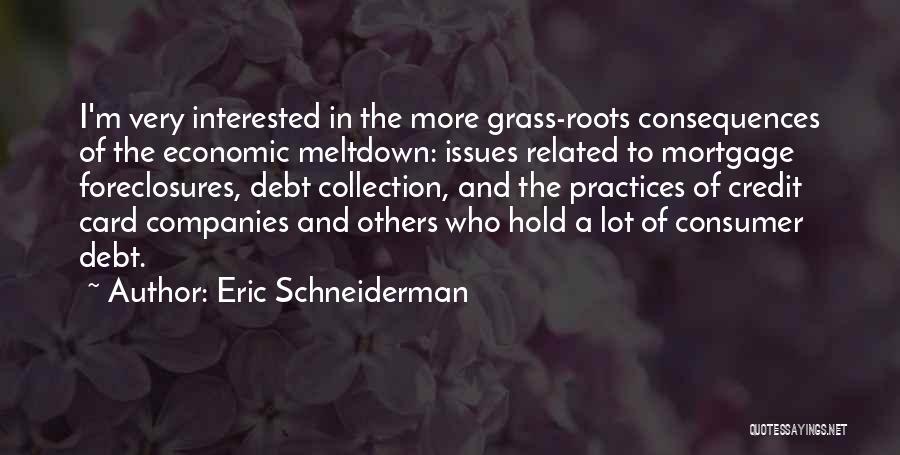 Eric Schneiderman Quotes: I'm Very Interested In The More Grass-roots Consequences Of The Economic Meltdown: Issues Related To Mortgage Foreclosures, Debt Collection, And