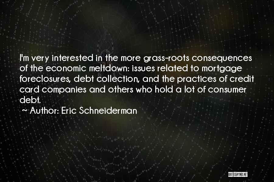 Eric Schneiderman Quotes: I'm Very Interested In The More Grass-roots Consequences Of The Economic Meltdown: Issues Related To Mortgage Foreclosures, Debt Collection, And