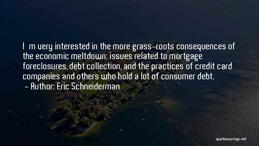 Eric Schneiderman Quotes: I'm Very Interested In The More Grass-roots Consequences Of The Economic Meltdown: Issues Related To Mortgage Foreclosures, Debt Collection, And