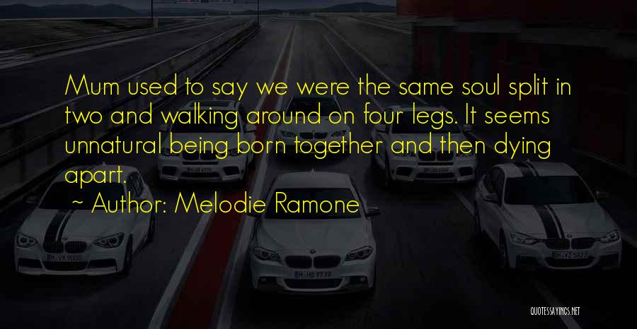 Melodie Ramone Quotes: Mum Used To Say We Were The Same Soul Split In Two And Walking Around On Four Legs. It Seems