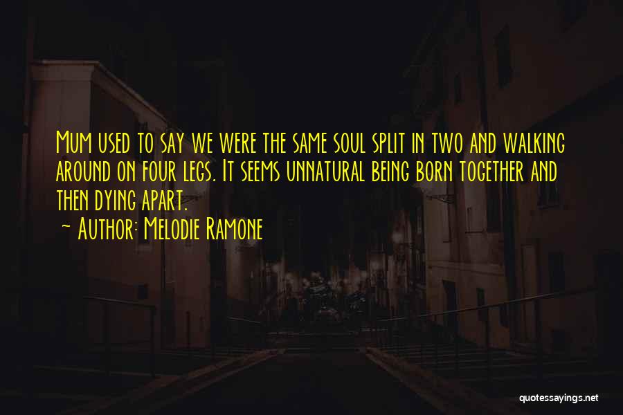Melodie Ramone Quotes: Mum Used To Say We Were The Same Soul Split In Two And Walking Around On Four Legs. It Seems