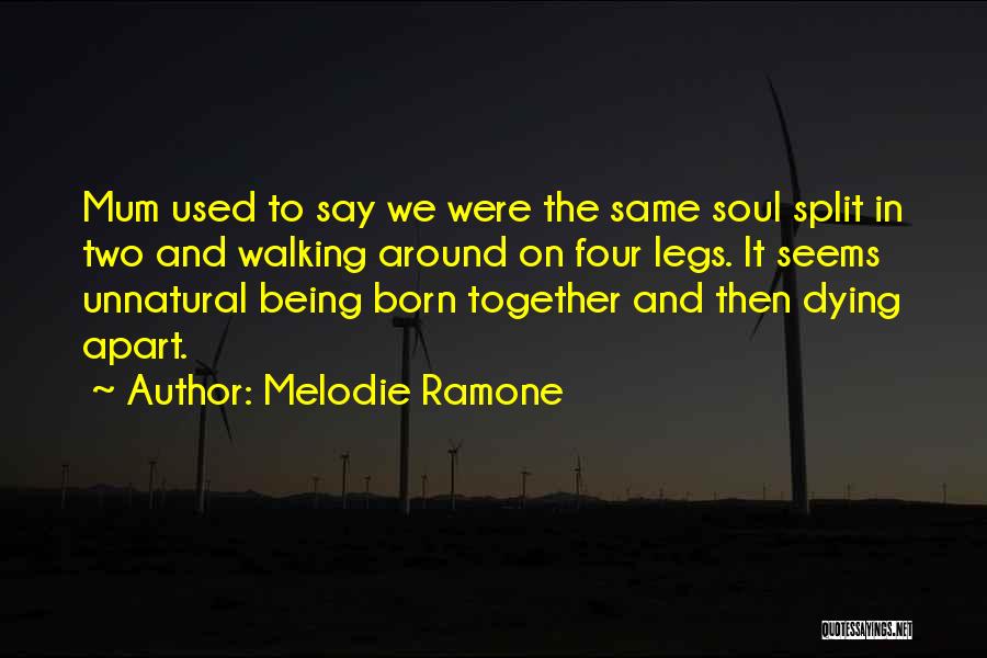 Melodie Ramone Quotes: Mum Used To Say We Were The Same Soul Split In Two And Walking Around On Four Legs. It Seems