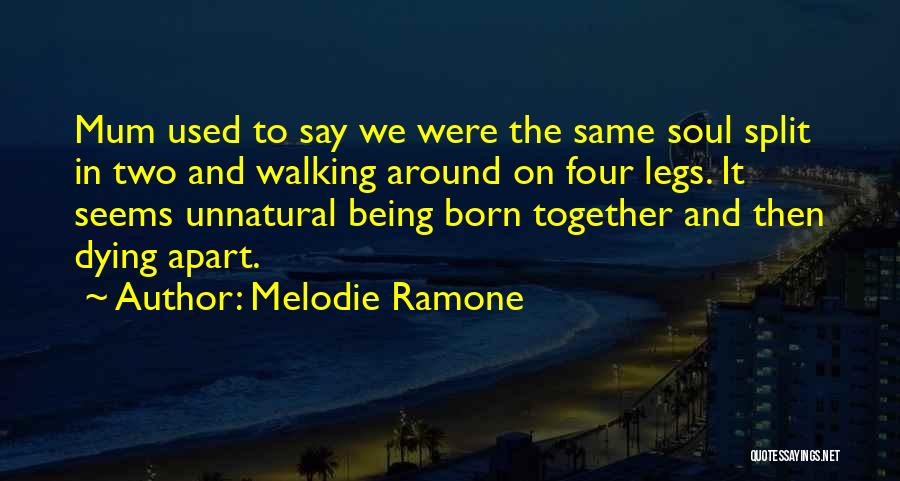 Melodie Ramone Quotes: Mum Used To Say We Were The Same Soul Split In Two And Walking Around On Four Legs. It Seems
