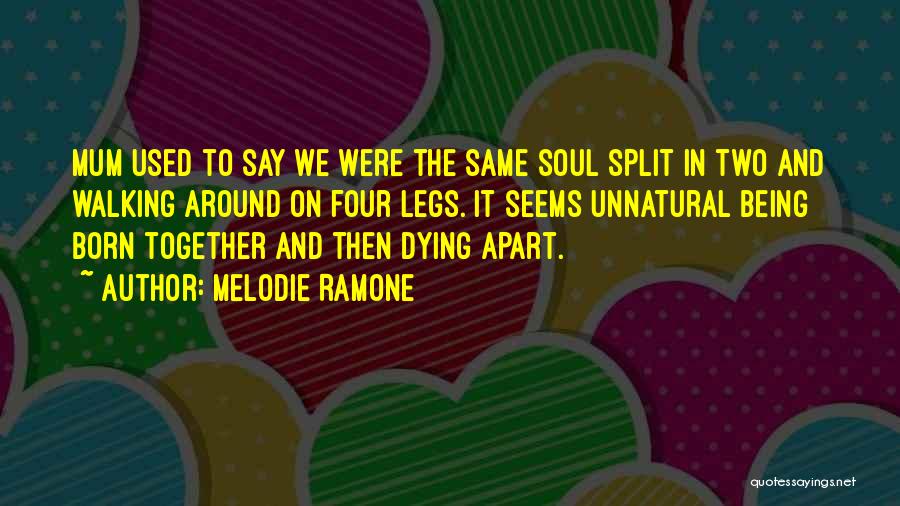 Melodie Ramone Quotes: Mum Used To Say We Were The Same Soul Split In Two And Walking Around On Four Legs. It Seems