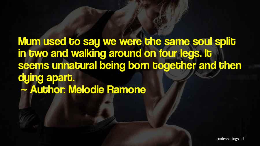 Melodie Ramone Quotes: Mum Used To Say We Were The Same Soul Split In Two And Walking Around On Four Legs. It Seems