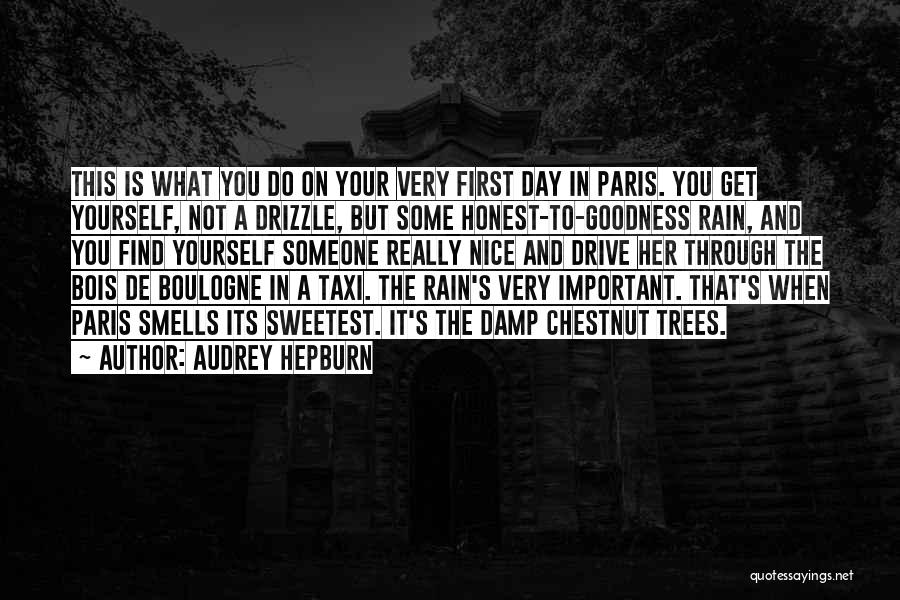 Audrey Hepburn Quotes: This Is What You Do On Your Very First Day In Paris. You Get Yourself, Not A Drizzle, But Some