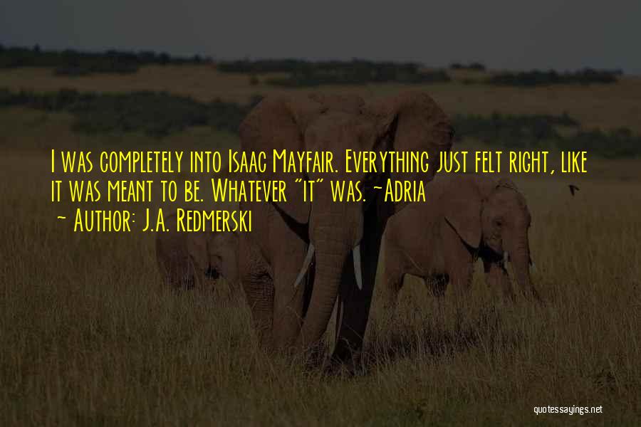 J.A. Redmerski Quotes: I Was Completely Into Isaac Mayfair. Everything Just Felt Right, Like It Was Meant To Be. Whatever It Was. ~adria