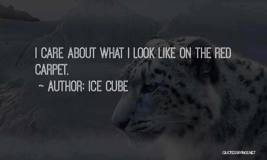 Ice Cube Quotes: I Care About What I Look Like On The Red Carpet.