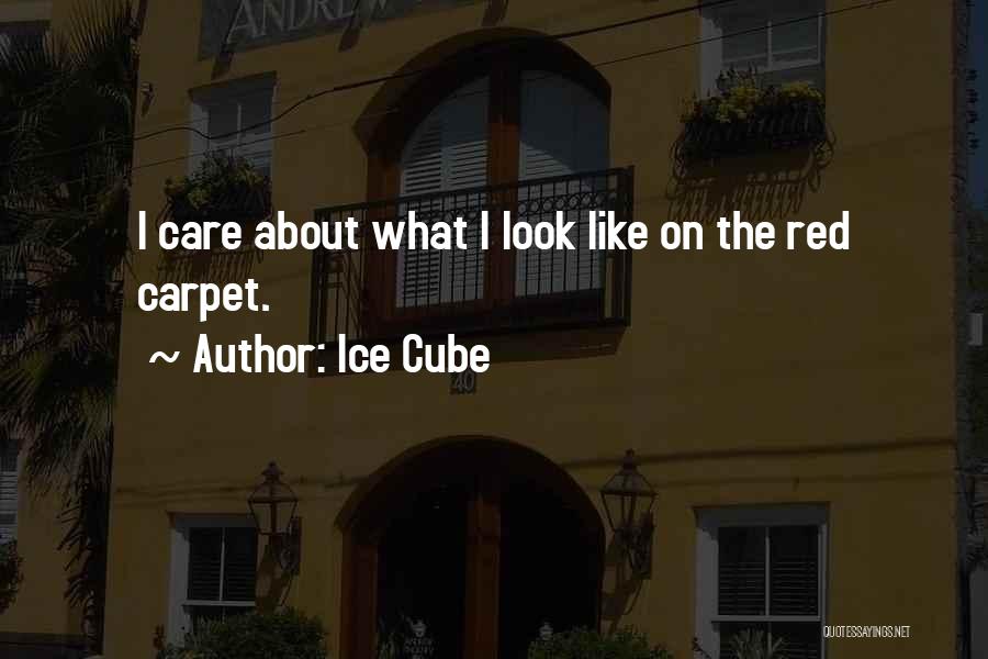 Ice Cube Quotes: I Care About What I Look Like On The Red Carpet.