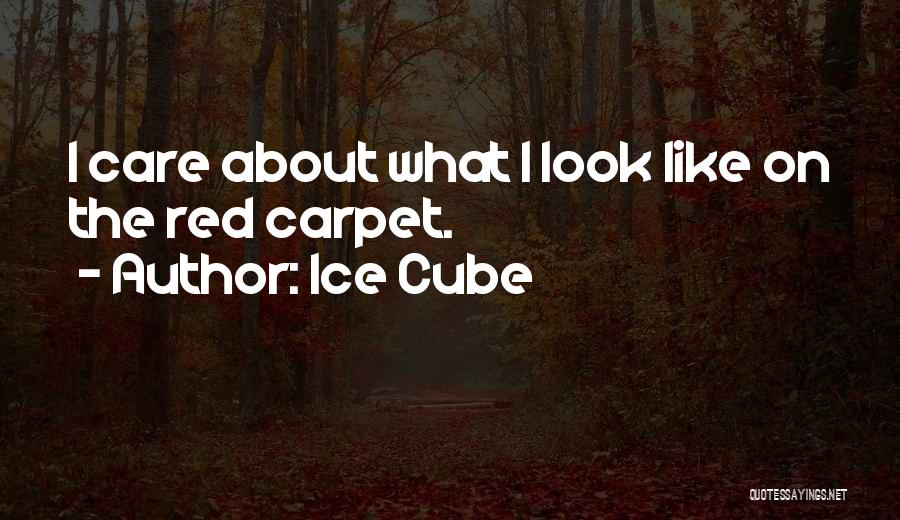 Ice Cube Quotes: I Care About What I Look Like On The Red Carpet.