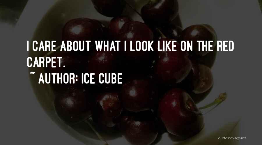 Ice Cube Quotes: I Care About What I Look Like On The Red Carpet.