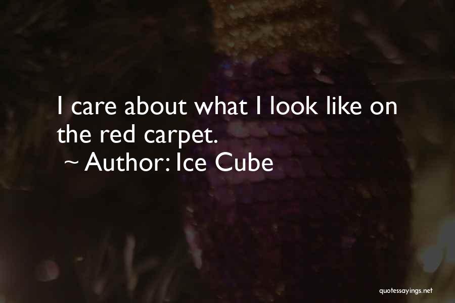 Ice Cube Quotes: I Care About What I Look Like On The Red Carpet.