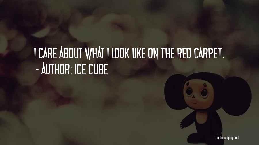 Ice Cube Quotes: I Care About What I Look Like On The Red Carpet.