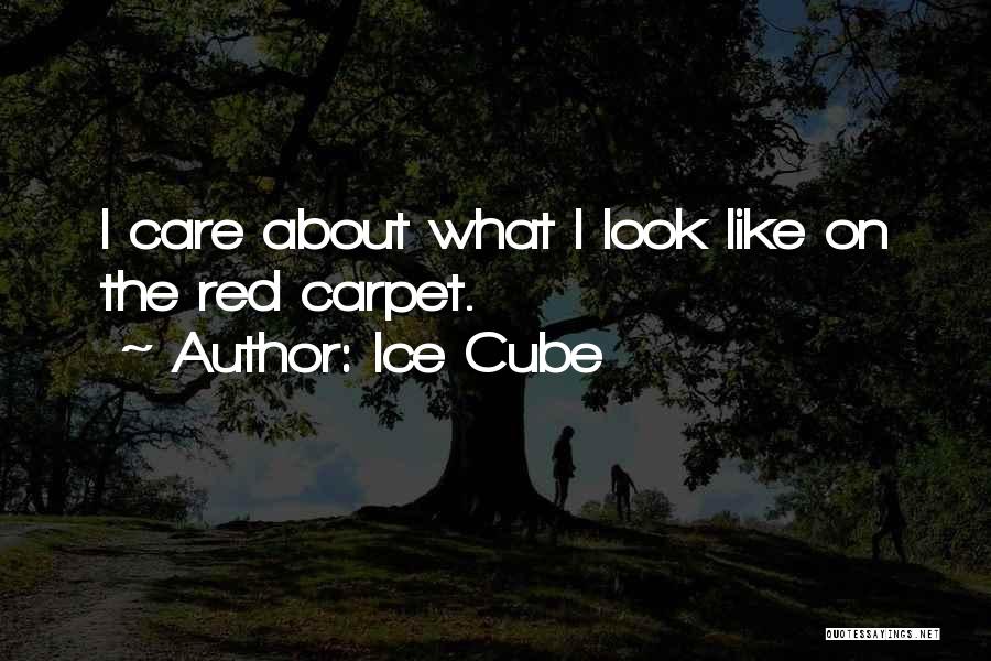 Ice Cube Quotes: I Care About What I Look Like On The Red Carpet.