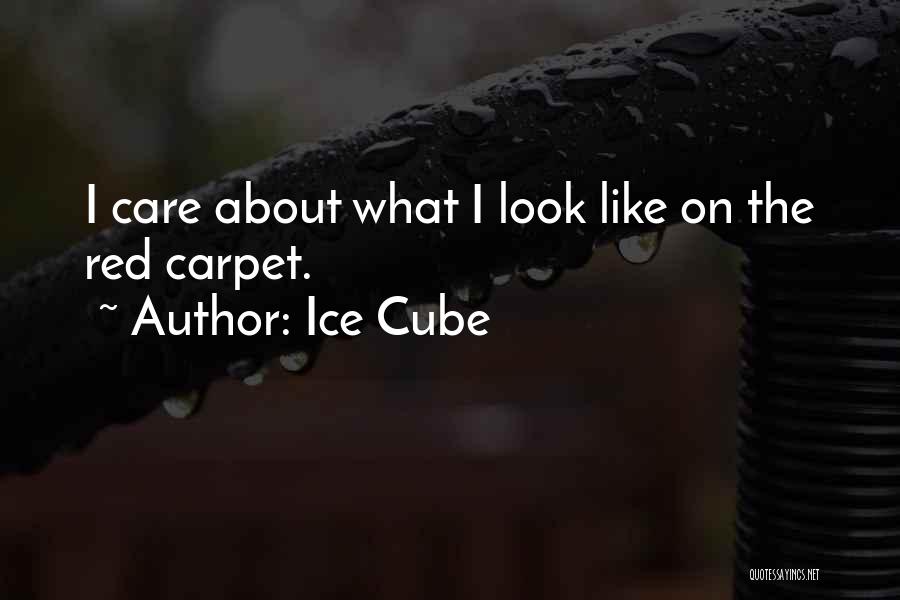 Ice Cube Quotes: I Care About What I Look Like On The Red Carpet.