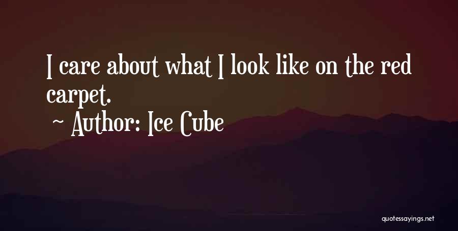 Ice Cube Quotes: I Care About What I Look Like On The Red Carpet.