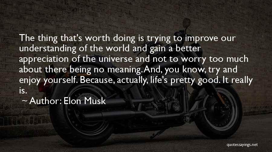 Elon Musk Quotes: The Thing That's Worth Doing Is Trying To Improve Our Understanding Of The World And Gain A Better Appreciation Of