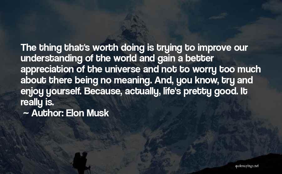 Elon Musk Quotes: The Thing That's Worth Doing Is Trying To Improve Our Understanding Of The World And Gain A Better Appreciation Of