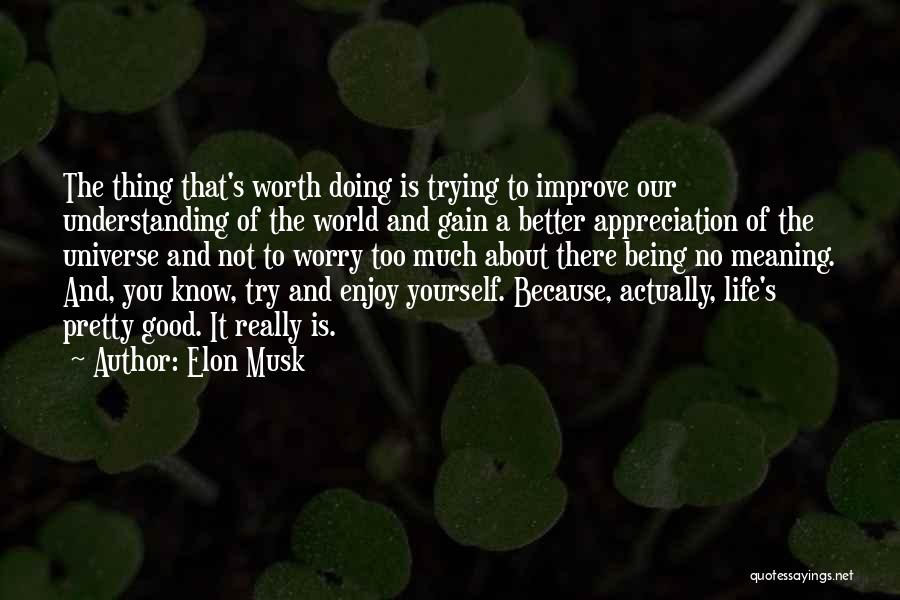 Elon Musk Quotes: The Thing That's Worth Doing Is Trying To Improve Our Understanding Of The World And Gain A Better Appreciation Of