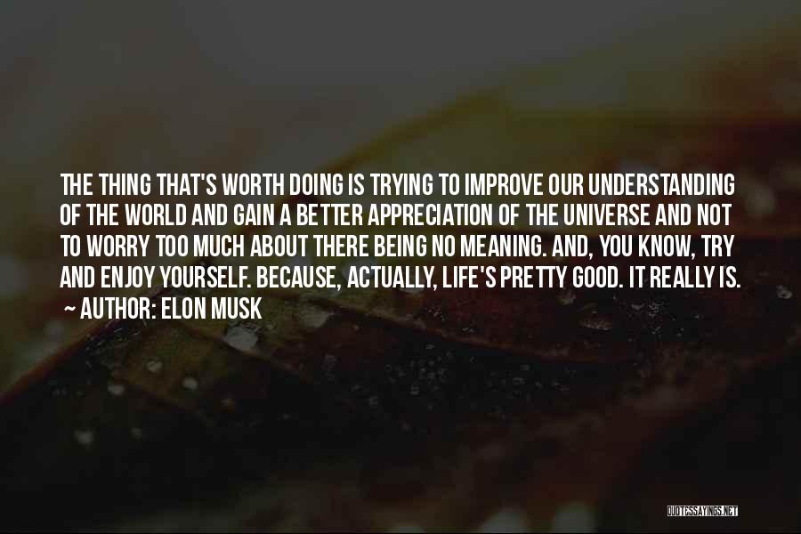 Elon Musk Quotes: The Thing That's Worth Doing Is Trying To Improve Our Understanding Of The World And Gain A Better Appreciation Of