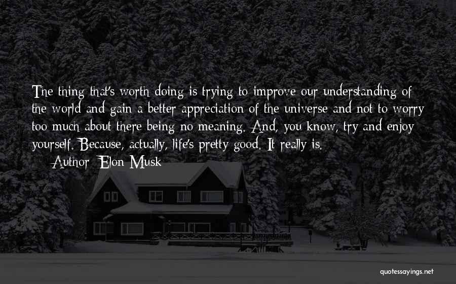 Elon Musk Quotes: The Thing That's Worth Doing Is Trying To Improve Our Understanding Of The World And Gain A Better Appreciation Of