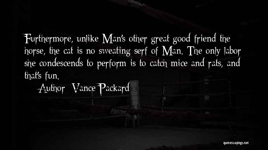 Vance Packard Quotes: Furthermore, Unlike Man's Other Great Good Friend The Horse, The Cat Is No Sweating Serf Of Man. The Only Labor