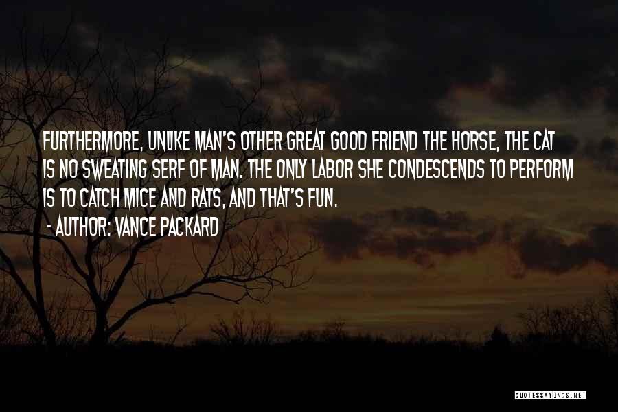 Vance Packard Quotes: Furthermore, Unlike Man's Other Great Good Friend The Horse, The Cat Is No Sweating Serf Of Man. The Only Labor