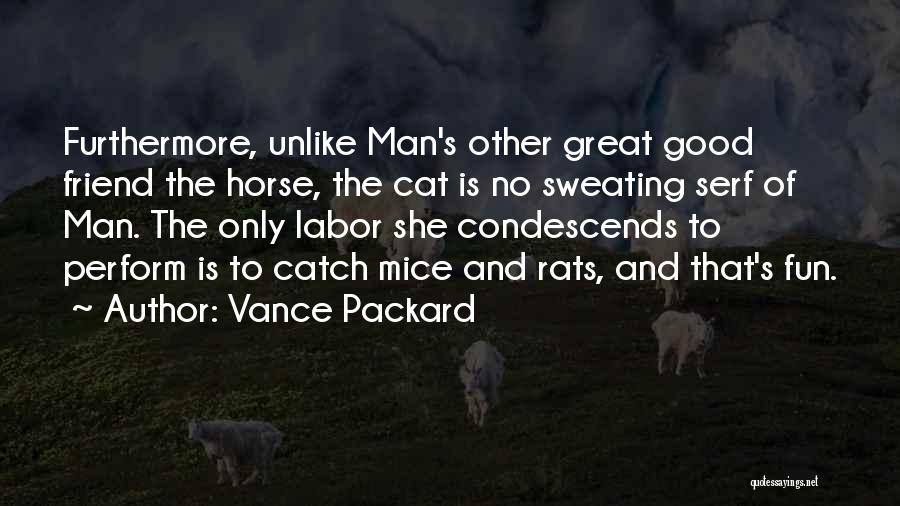 Vance Packard Quotes: Furthermore, Unlike Man's Other Great Good Friend The Horse, The Cat Is No Sweating Serf Of Man. The Only Labor