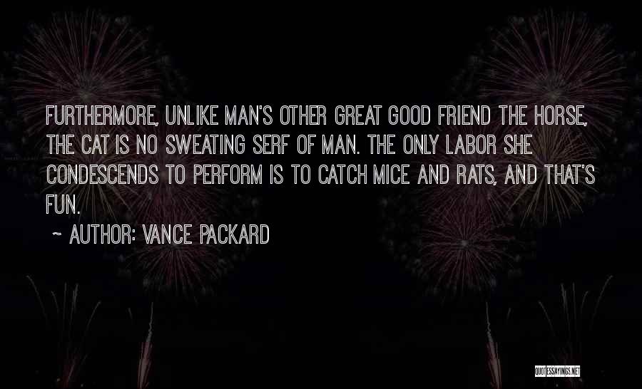 Vance Packard Quotes: Furthermore, Unlike Man's Other Great Good Friend The Horse, The Cat Is No Sweating Serf Of Man. The Only Labor