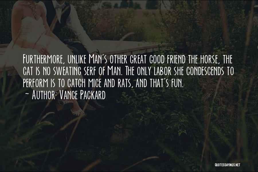 Vance Packard Quotes: Furthermore, Unlike Man's Other Great Good Friend The Horse, The Cat Is No Sweating Serf Of Man. The Only Labor