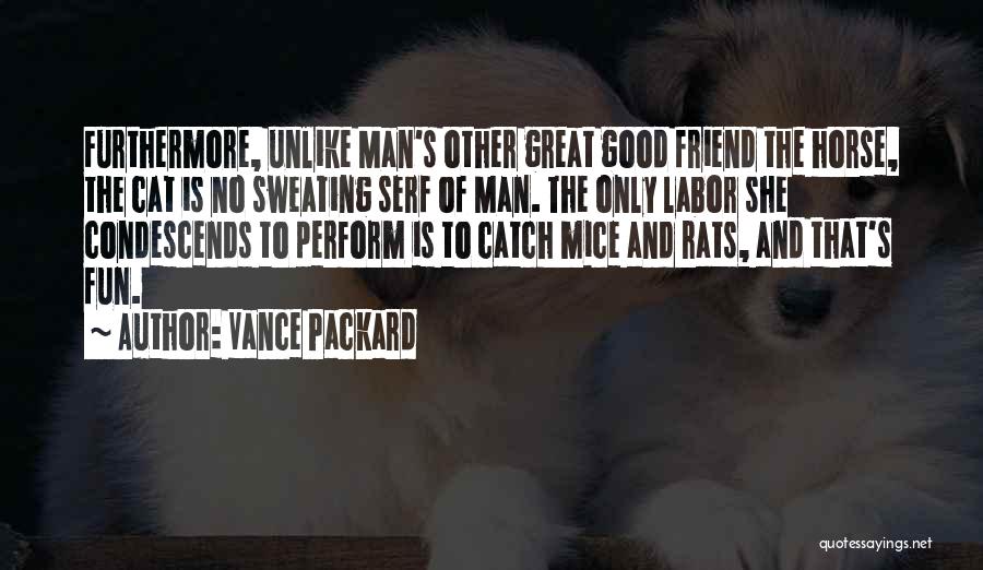 Vance Packard Quotes: Furthermore, Unlike Man's Other Great Good Friend The Horse, The Cat Is No Sweating Serf Of Man. The Only Labor