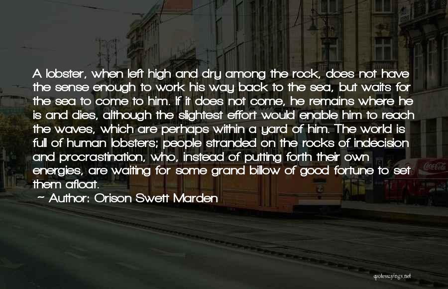 Orison Swett Marden Quotes: A Lobster, When Left High And Dry Among The Rock, Does Not Have The Sense Enough To Work His Way