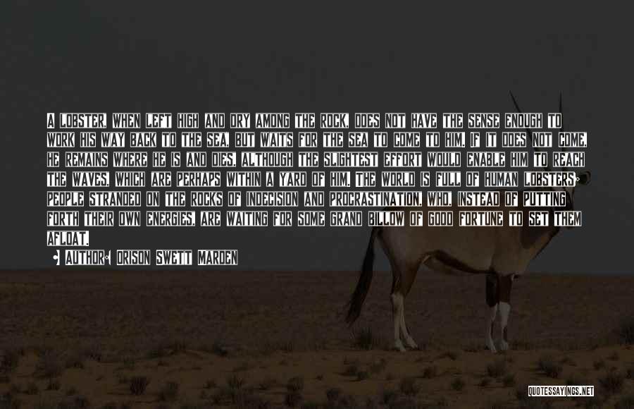 Orison Swett Marden Quotes: A Lobster, When Left High And Dry Among The Rock, Does Not Have The Sense Enough To Work His Way