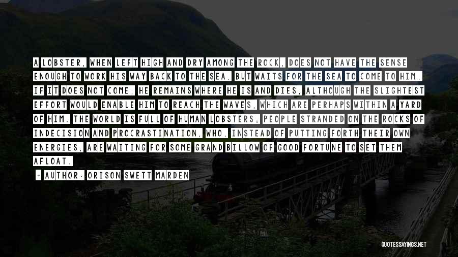 Orison Swett Marden Quotes: A Lobster, When Left High And Dry Among The Rock, Does Not Have The Sense Enough To Work His Way