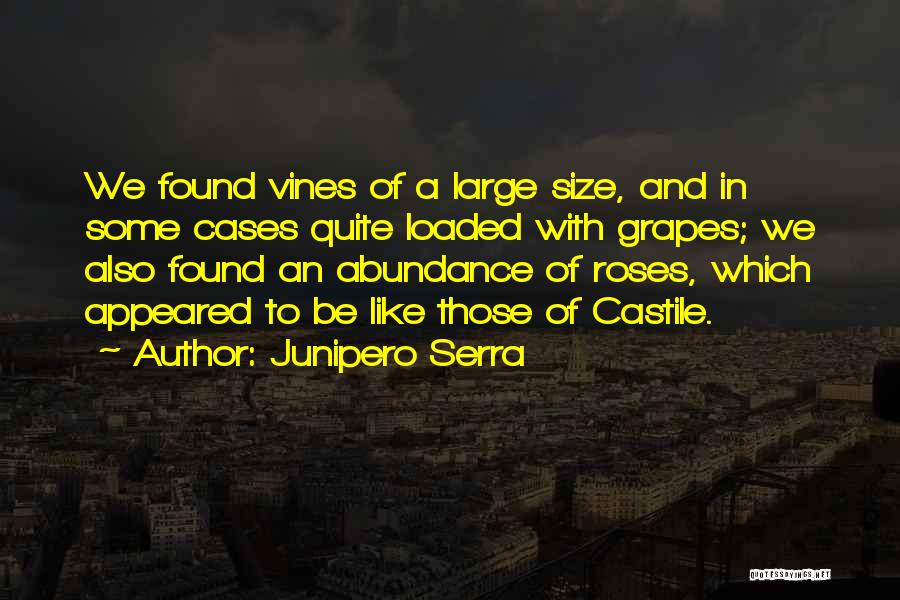 Junipero Serra Quotes: We Found Vines Of A Large Size, And In Some Cases Quite Loaded With Grapes; We Also Found An Abundance