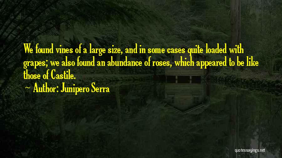 Junipero Serra Quotes: We Found Vines Of A Large Size, And In Some Cases Quite Loaded With Grapes; We Also Found An Abundance