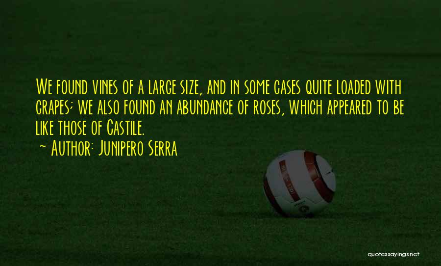 Junipero Serra Quotes: We Found Vines Of A Large Size, And In Some Cases Quite Loaded With Grapes; We Also Found An Abundance