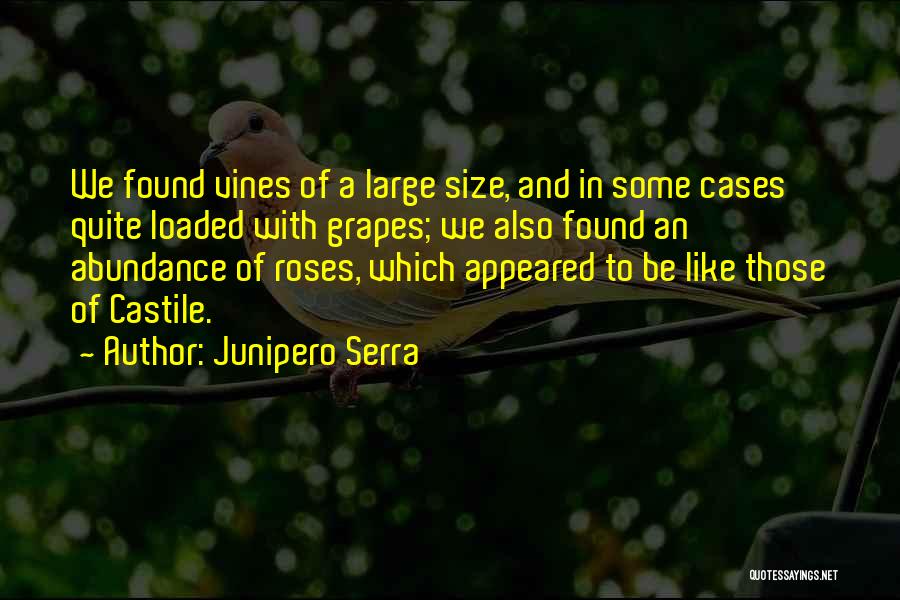 Junipero Serra Quotes: We Found Vines Of A Large Size, And In Some Cases Quite Loaded With Grapes; We Also Found An Abundance