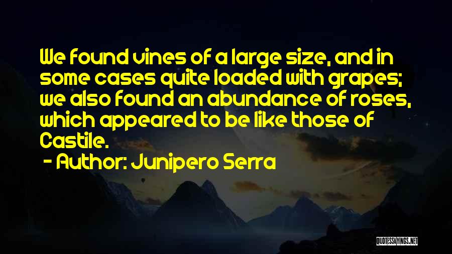 Junipero Serra Quotes: We Found Vines Of A Large Size, And In Some Cases Quite Loaded With Grapes; We Also Found An Abundance