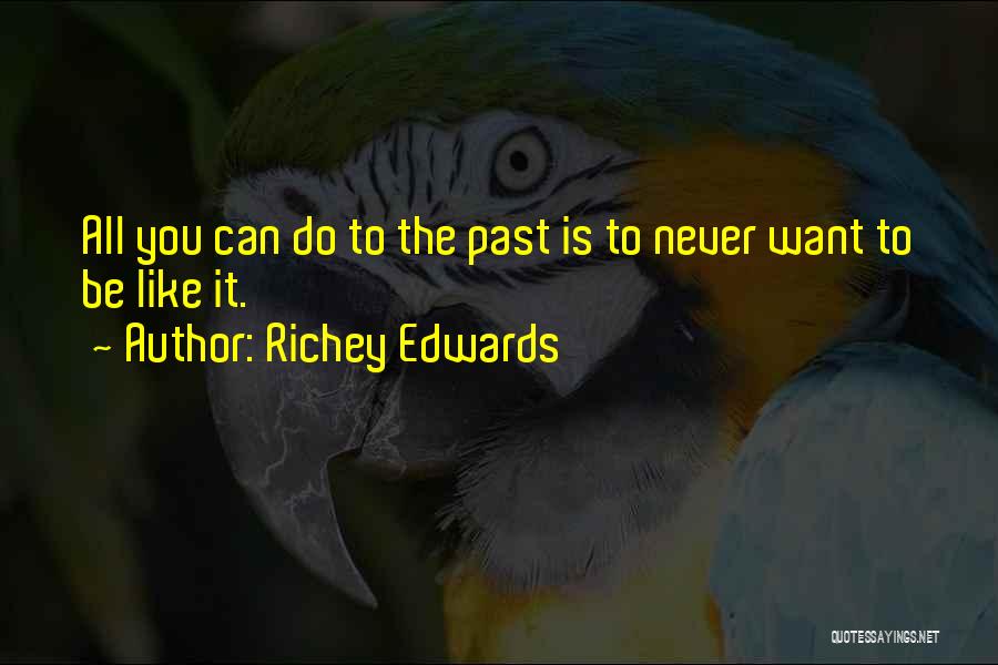 Richey Edwards Quotes: All You Can Do To The Past Is To Never Want To Be Like It.