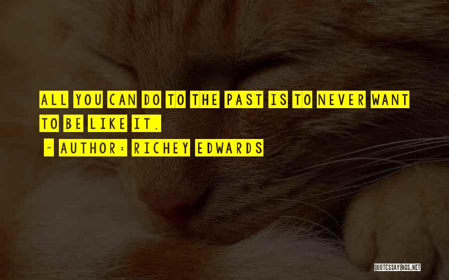 Richey Edwards Quotes: All You Can Do To The Past Is To Never Want To Be Like It.