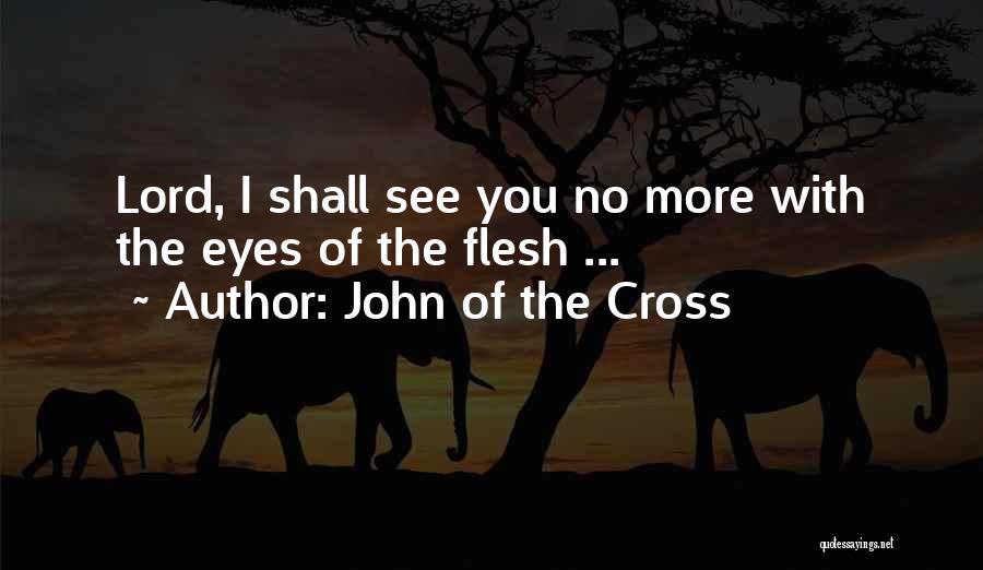 John Of The Cross Quotes: Lord, I Shall See You No More With The Eyes Of The Flesh ...